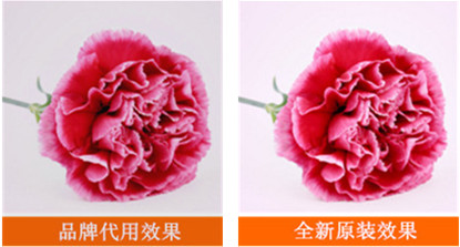 柯尼卡美能達C287顯影單元效果輸出圖片對比